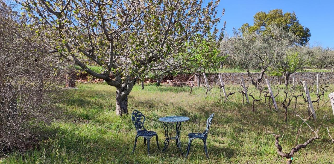Il Vigneto Sole&Luna Con Piscina Privata Martina Franca Exteriér fotografie