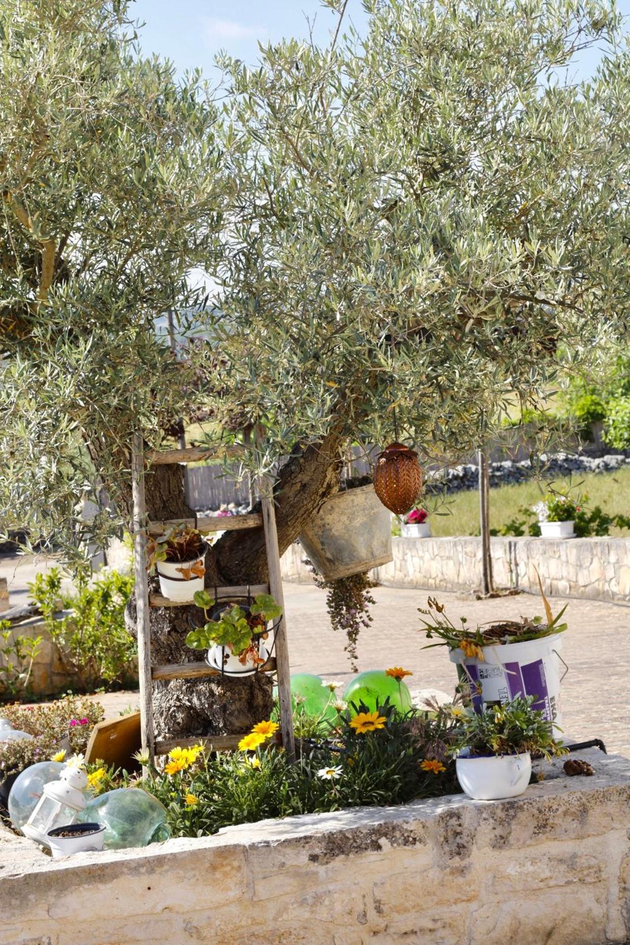 Il Vigneto Sole&Luna Con Piscina Privata Martina Franca Exteriér fotografie
